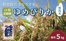 【ふるさと納税】【無洗米12ヶ月定期便】特別栽培「きなうす米」北海道産ゆめぴりか5kg×12回　P011