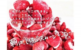 【ふるさと納税】ファームうかわの冷凍いちご1kg　B010