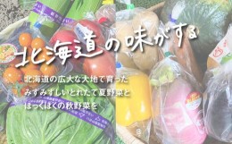 【ふるさと納税】直売所直送「夏・秋野菜定期便」4回　H028