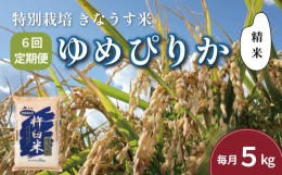 【ふるさと納税】【精米6ヶ月定期便】特別栽培「きなうす米」ゆめぴりか5kg×6回　K001