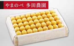 【ふるさと納税】≪2024年 先行予約≫さくらんぼ 特選月山錦 桐箱詰 約1100g「やまのべ多田農園」 F2Y-1402