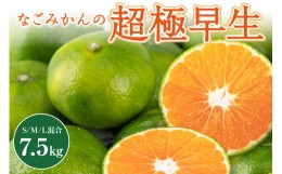 【ふるさと納税】なごみかんの超極早生 7.5キロ 果物 フルーツ みかん 超極早生 超極早生みかん 7.5kg 三重県 御浜町 