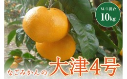 【ふるさと納税】なごみかんの大津4号　10キロ 果物 フルーツ みかん 温州みかん 大津4号 10kg 三重県 御浜町 