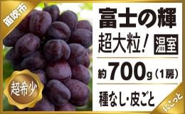 【ふるさと納税】＜2024年先行予約＞温室富士の輝1房約700g 097-002