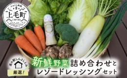 【ふるさと納税】道の駅厳選！新鮮野菜詰め合わせとレゾードレッシングセット　K03803