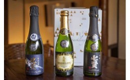 【ふるさと納税】山梨地酒スパークリング日本酒飲み比べセット 100-003