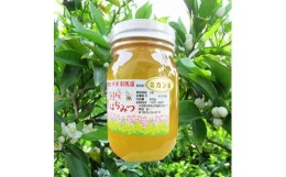 【ふるさと納税】中津・耶馬渓のはちみつ みかん 600g×1瓶 時田養蜂場 国産 蜂蜜 ハチミツ みかん 蜜柑 ミカン 大分県産 九州産 中津市 