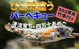 【ふるさと納税】子どもが喜ぶバーベキュー！清流育ちの四万十あめご【BBQ専用竹串付き】 Eay-01 おつまみ バーベキュー BBQ アウトドア 