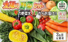 【ふるさと納税】野菜 太陽の野菜セット 【 7月から 3か月 定期便 】 季節ごと旬の野菜  配送先は本州限定 2024年7月中旬頃から2024年9月