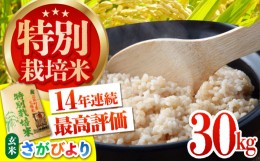 【ふるさと納税】令和5年産 特別栽培米 新米 さがびより 玄米 30kg【だいちの家】[HAG007]