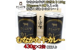 【ふるさと納税】【牧場こだわり】むなかた牛カレー2人前×2缶（贈答用桐箱入り）【すすき牧場】_HA0936