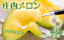 【ふるさと納税】《先行予約 2024年度発送》庄内メロン 2玉3L 約2.5kg FSY-0500