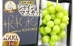 【ふるさと納税】【先行受付】シャインマスカット一房 [梨北農業協同組合 山梨県 韮崎市 20741948] ぶどう ブドウ 葡萄 フルーツ 果物