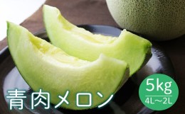 【ふるさと納税】《先行予約 2024年度発送》 山形県産庄内メロン5kg【青肉メロン】4L〜2Lサイズ FSY-0398