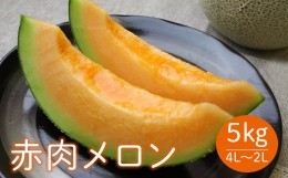 【ふるさと納税】《先行予約 2024年度発送》山形県産庄内メロン約5kg【赤肉メロン】4L〜2Lサイズ FSY-0399