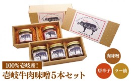 【ふるさと納税】壱岐牛 肉味噌 5本 《壱岐市》【壱岐味噌工房】[JBW003] 18000 18000円 