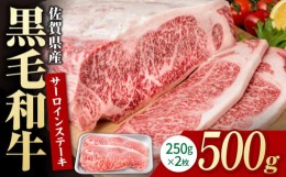 【ふるさと納税】佐賀県産 黒毛和牛 贅沢 ロースステーキ 250g×2枚（計500g）【株式会社いろは精肉店】 [IAG016]