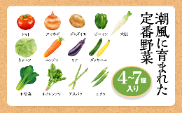 【ふるさと納税】潮風に育まれた定番野菜セット