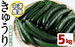 【ふるさと納税】宮崎県産きゅうり(5kg)野菜 やさい 旬 新鮮 サラダ キュウリ 胡瓜 冷蔵 宮崎県産【NS-1】【中澤農園】