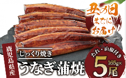 【ふるさと納税】【丑の日に合わせてお届け！】鹿児島県産うなぎ蒲焼じっくり焼き約165g×5尾(大新/037-1106u) 【2024年7月11日〜7月24日