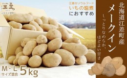 【ふるさと納税】《早期予約・8月下旬から出荷予定》北海道江差産 メークイン 5kg M・L混合　しっとり甘い江差産　北海道のじゃがいも　