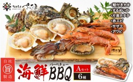 【ふるさと納税】厳選！海鮮BBQ≪A≫セット（6種13品、3〜4人用） 牡蠣 イカ ホタテ エビ サザエ  アワビ バーベキュー アウトドア 網焼