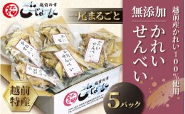 【ふるさと納税】【先行予約】 無添加 かれい煎餅 50g × 5パック【2024年2月上旬より順次発送】【越前産カレイ100%使用】 [e15-a007]