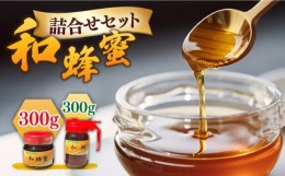 【ふるさと納税】和蜂蜜（ニホンミツバチ） 300g＋300gパッカー 《壱岐市》【和蜂ファーム壱岐】[JDP005] ハチミツ 蜂蜜 はちみつ 日本ミ