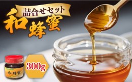 ニホンミツバチのはちみつ5個セット ファッション販売中 wc1.ignitecore.io
