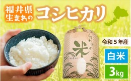 【ふるさと納税】[e30-a049] コシヒカリ 3kg 令和5年 福井県産【白米】【 お米 こめ 米 コメ 精米 こしひかり 3キロ 人気品種】