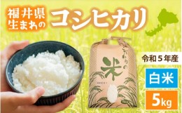 【ふるさと納税】[e30-a051] コシヒカリ 5kg 令和5年 福井県産【白米】【お米 こしひかり 5キロ 人気品種】