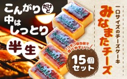 【ふるさと納税】みなまたチーズ 計600g (40g×15個) ケーキ お菓子 冷凍