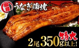 【ふるさと納税】山梨県産富士山脈の地下水うなぎの蒲焼　特大2尾350g以上 138-003