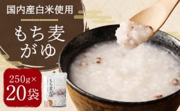 【ふるさと納税】国内産 もち麦がゆ 250g×20袋 計5kg おかゆ 低カロリー お粥 もち麦