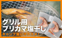 【ふるさと納税】グリル用ブリカマ肉塩干し 特大２枚セット＜お試し商品＞　UE-16 