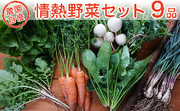 【ふるさと納税】農園自慢の情熱野菜セット（9品）【 やさいセット 野菜詰合せ 野菜詰め合わせ 農園 おまかせ おまかせセット 】