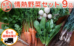 【ふるさと納税】【6ヶ月連続お届け】農園自慢の情熱野菜セット（9品）【野菜 詰め合わせ お任せ 季節物 定期便 セット 山芋 パセリ わさ