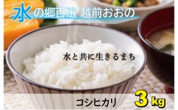 【ふるさと納税】【令和5年産】こしひかり（福井県大野市産）エコファーマー（白米）3kg 