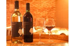 【ふるさと納税】【まるき葡萄酒】ラフィーユ赤白ワイン２本セット(MG)　B2-662