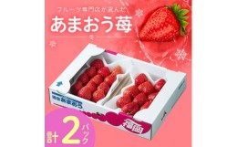 【ふるさと納税】フルーツ専門店が選んだ「あまおう苺」冬2パック(大野城市)【1083235】