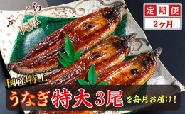 【ふるさと納税】【定期便２回】国産！特上うなぎのかば焼き 約250g × 3尾 × 2回お届け （毎月お届け）