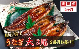 【ふるさと納税】【定期便２回】国産！特上うなぎのかば焼き 約200g × 3尾× 2回お届け （毎月お届け）