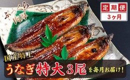 【ふるさと納税】【定期便３回】国産！特上うなぎのかば焼き 約250g × 3尾 × 3回お届け （毎月お届け）