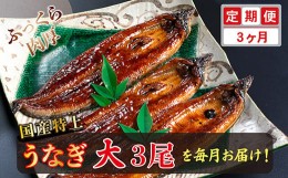 【ふるさと納税】【定期便３回】国産！特上うなぎのかば焼き 約200g × 3尾 × 3回お届け （毎月お届け）