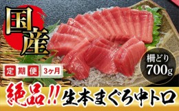 【ふるさと納税】【定期便3回】冷蔵でお届け！大満足！生本マグロ 中トロ（柵どり） 700g × 3回お届け （毎月お届け）