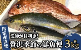 【ふるさと納税】【指宿産直便】漁師が選ぶ季節の鮮魚便  贅沢セット(指宿山川水産/022-1092)