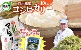 【ふるさと納税】【 令和5年産 】【 西村農園 のお米 】 コシヒカリ １０ｋｇ （ 天のつぶ ３００ｇ 今だけ キューブ米 付き 期間限定 ）