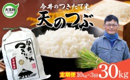 【ふるさと納税】【 令和5年産 】【 今井のつきたて米 】 天のつぶ ３０ｋｇ （ 毎月 １０ｋｇ × 3回 ）【08525】 福島県 大玉村 てんの