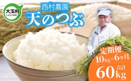 【ふるさと納税】【 令和5年産 】【 西村農園 の お米 】 天のつぶ 50ｋｇ （ 毎月 10ｋｇ × 5回 ）【09527】 福島県 大玉村 てんのつぶ