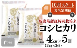 【ふるさと納税】【新米定期便・10月〜発送】コシヒカリ 白米 4kg（2kg×2袋）×5回（計 20kg）ヤタらうんめぇお米 先行予約 水田環境鑑